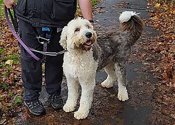 Pets And Wildlife Service (PAWS)