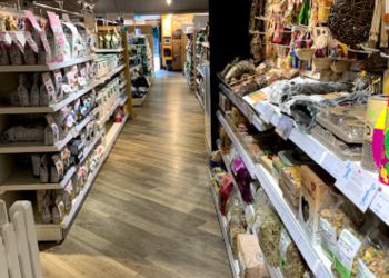 Pets Corner Cardiff Radyr