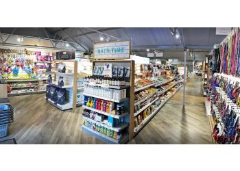 Pets Corner Cardiff Radyr