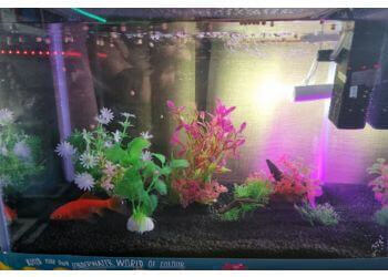 Pets at Home Barnsley