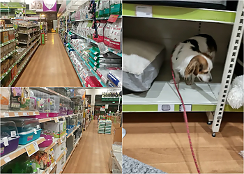 Pets at Home Barry