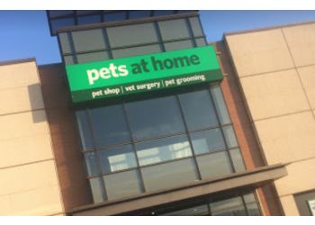 Pets at Home Belfast