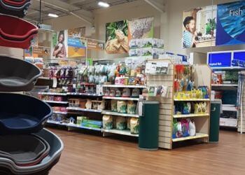 Pets at Home Cardiff Newport Road