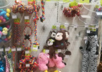 Pets at Home Cardiff Newport Road