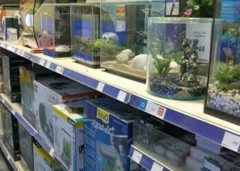 Pets at Home Colchester