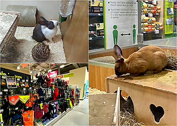 Pets at Home Drumchapel