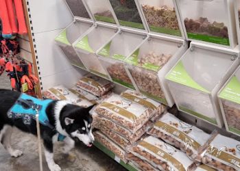 Pets at Home Newport