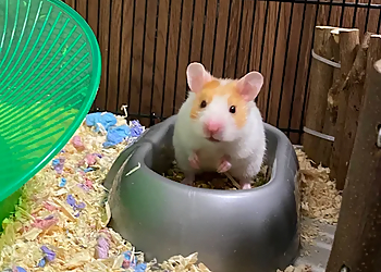 Pets at Home Teesside