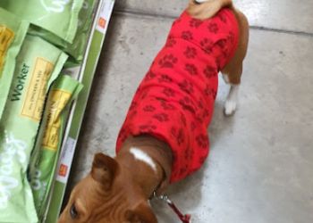 Pets at Home Worcester