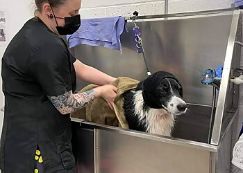 Phoenix Dog Grooming Ltd