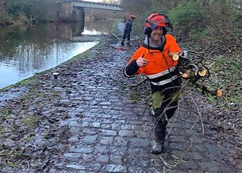 Affordable Tree Surgery