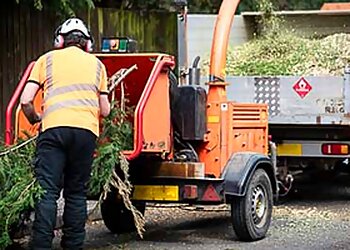 Oldham tree services Phoenix Tree Surgery image 1