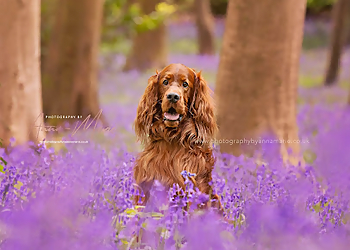 Photography By Anna-Marie