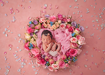 Photography With Vanessa Photography With Vanessa