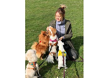 Pickle & Co Pet Care