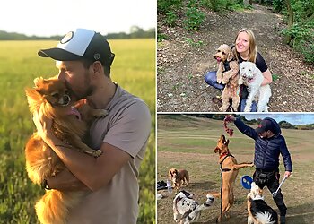 Pickle & Co Pet Care