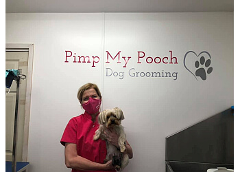 Basingstoke Deane pet grooming Pimp My Pooch Dog Grooming image 1