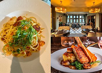 Pine Marten Harrogate