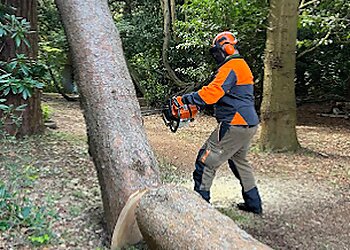 Pinewood Tree Care Ltd.