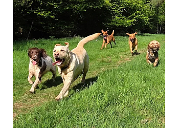 Piper's Paws Pet Services