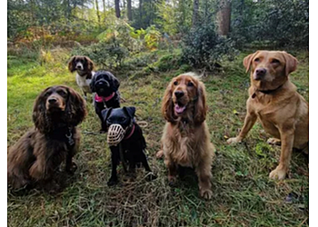 Piper's Paws Pet Services