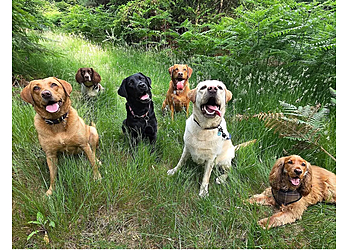 Piper's Paws Pet Services Piper's Paws Pet Services