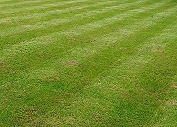 Pitch Perfect Lawns