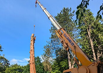 Pitchford Tree Services