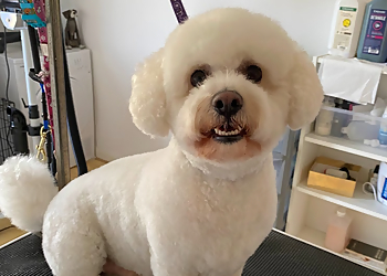 Pixie Dog Grooming