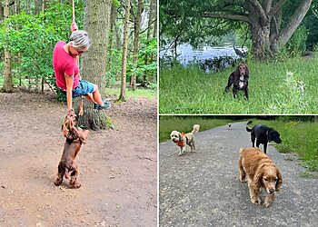 Pixie Lee Pet Services