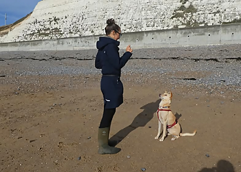 Planet Dog Training & Behaviour  Planet Dog Training & Behaviour