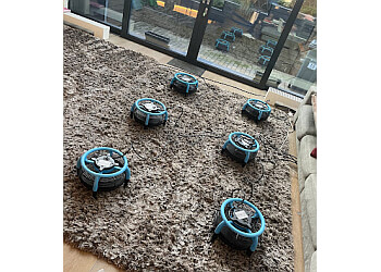 Platinum Carpet, Tile & Upholstery Cleaning