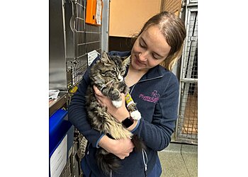 Plymouth Veterinary Group