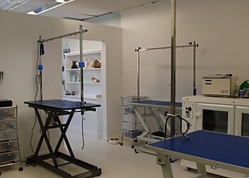 Poochies Dog Grooming