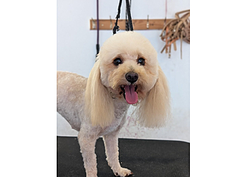 Poochys Grooming Ltd