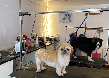 Poochys Grooming Ltd