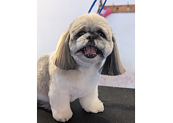 Poochys Grooming Ltd Poochys Grooming Ltd