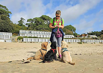 Poole Dog Walking