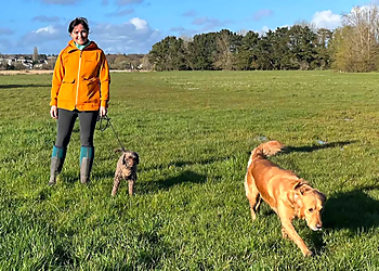 Poole Dog Walking Poole Dog Walking