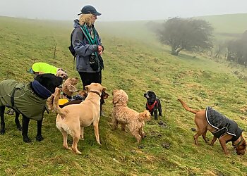 Pop Dog Walking Brighton