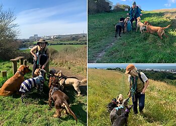 Pop Dog Walking Brighton