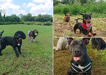 Poppy and Pals Pet Care Ltd