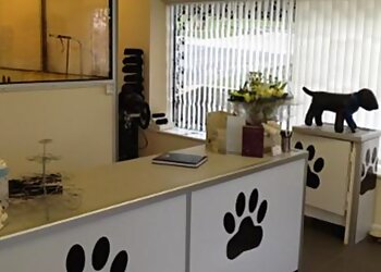 Posh Paws of Sedgley Dog Groomers