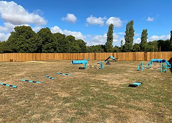 Positive Paws Dog Training