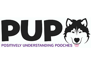 Positively Understanding Pooches