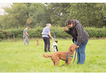 Potter Paws Dog Training