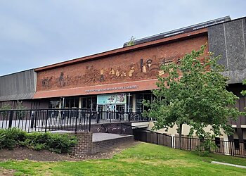 Stoke On Trent art galleries The Potteries Museum & Art Gallery image 1