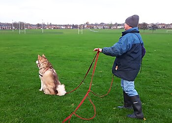 Pozi-Dog Training & Behaviour