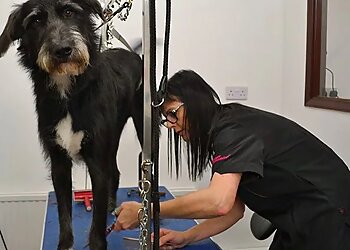 Precious Paws Pet Grooming