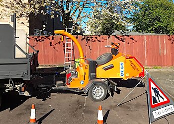 Precision Arborist Tree Surgeon